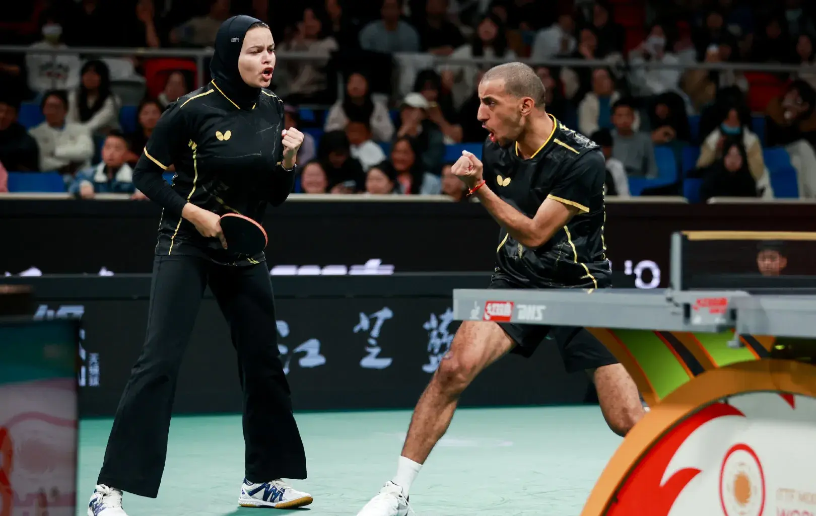 赛还要寻找, entit