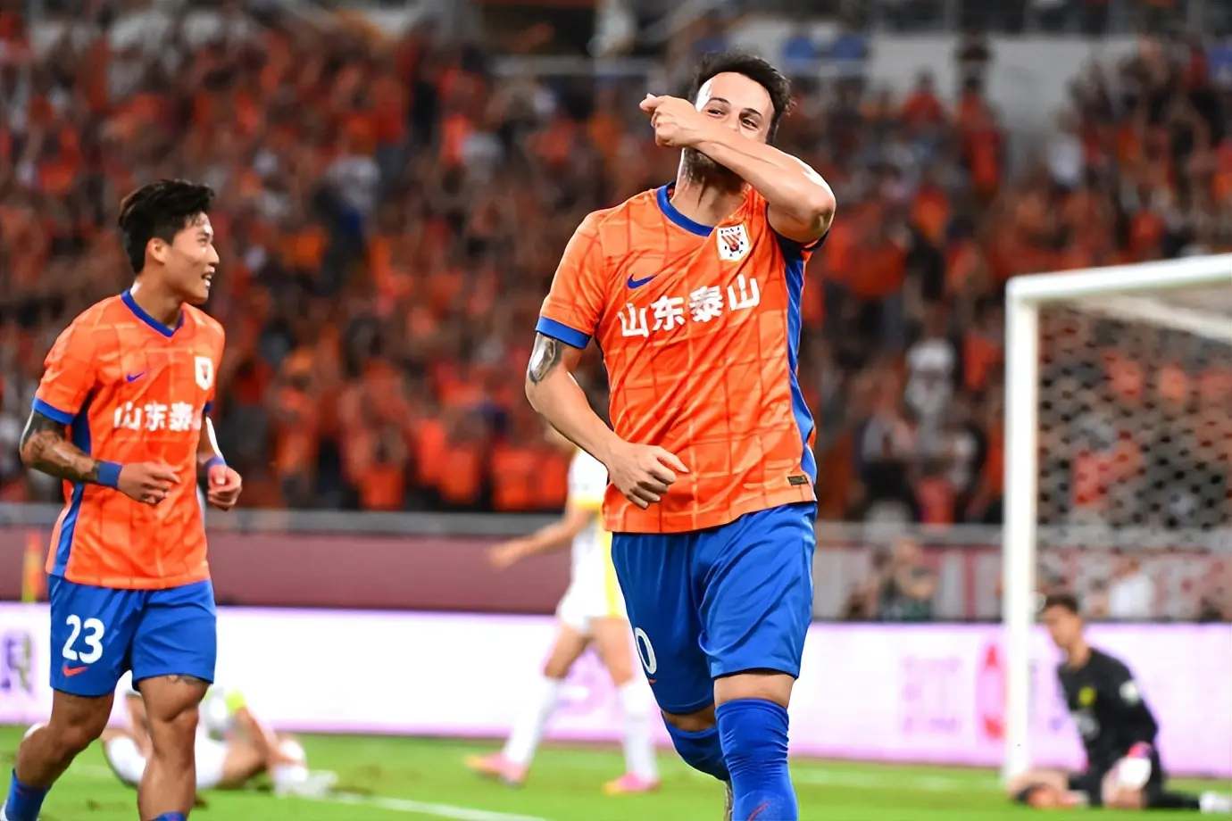 岁经十路梅, 冠格局